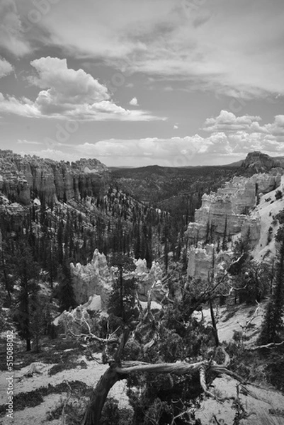 Obraz Bryce Canyon Monotone