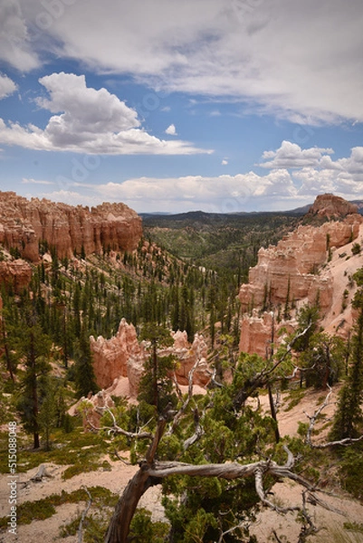 Obraz Bryce Canyon