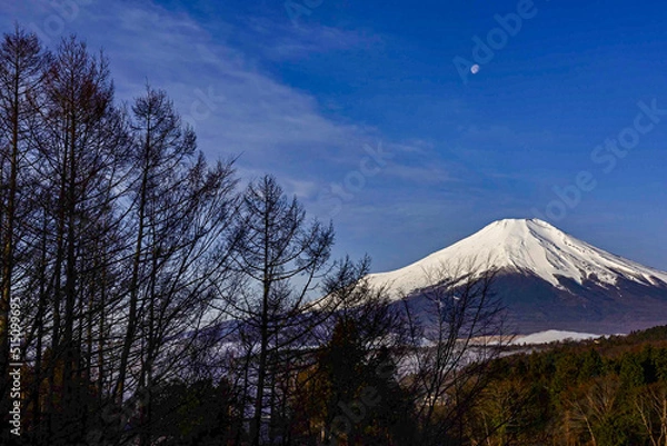 Fototapeta 月明りと富士