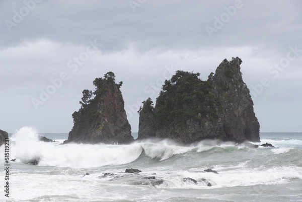 Obraz 蓑掛岩と波