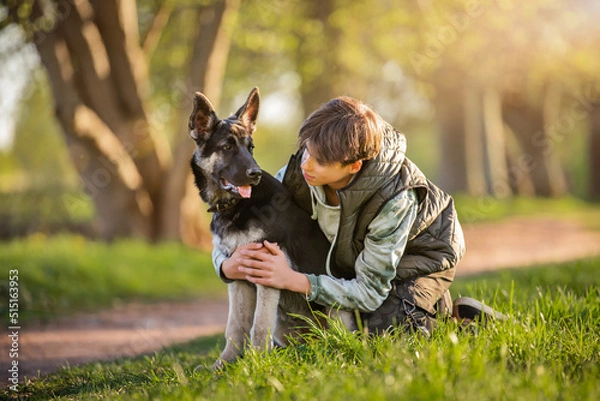 Fototapeta a boy with a dog walk in the park on a sunny spring evening, sit on the grass. Friendship of man and animal, healthy lifestyle.