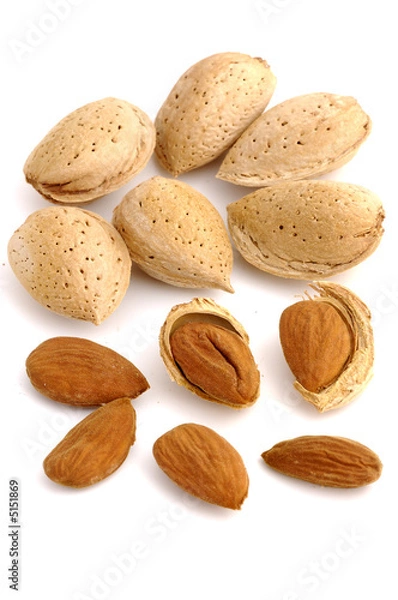 Obraz Almendras peladas