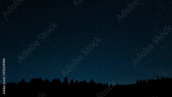 Fototapeta 北の星空