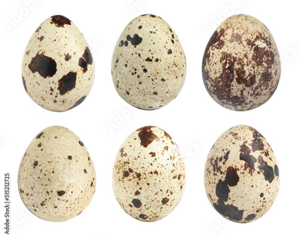 Obraz Set with quail eggs on white background