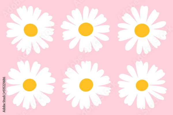 Obraz Set flowers daisies vector illustration