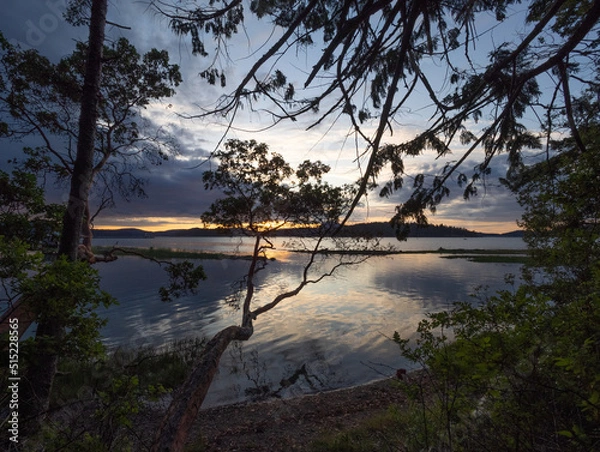 Obraz OLYMPUS DIGITAL CAMERA