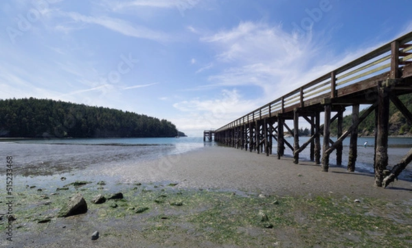 Obraz OLYMPUS DIGITAL CAMERA