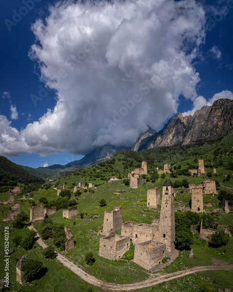 Fototapeta Ancient towers of the Dzheyrakh gorge in summer