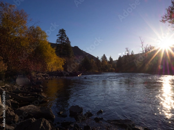 Obraz OLYMPUS DIGITAL CAMERA