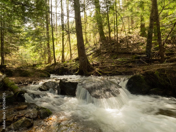 Obraz OLYMPUS DIGITAL CAMERA