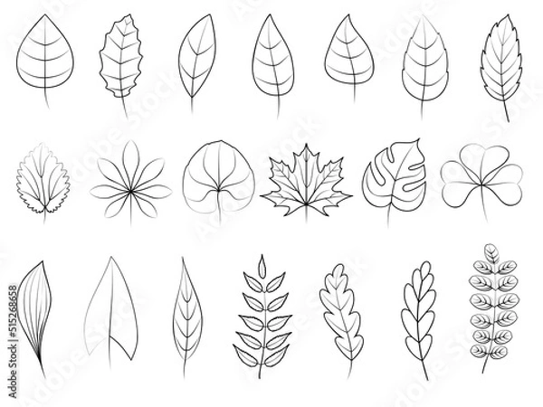 Fototapeta Leaves icons set. Line black vector botanical elements. Beautiful isolated greens leaf. Organic object for frame, border, ornament divider. Great for greeting card. Silhouet eco collection.
