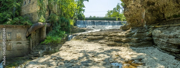 Obraz lizard on the stone