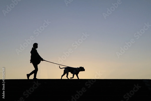Obraz 夕焼けに映えるシルエット（犬の散歩をする女性）