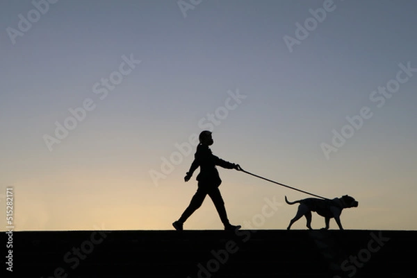 Obraz 夕焼けに映えるシルエット（犬の散歩をする女性）