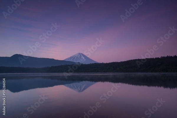 Obraz 西湖の富士山