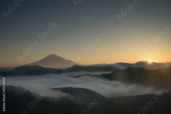 Obraz 日の出の雲海と富士山