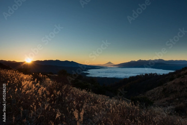Obraz 日の出の雲海と富士山