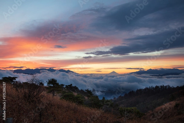 Obraz 朝焼けと雲海と富士山