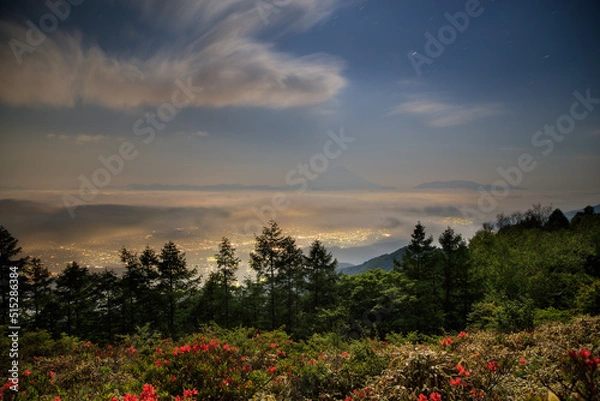 Obraz 雲海の富士山