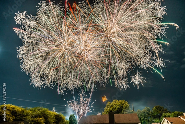 Obraz Fireworks on the 4th