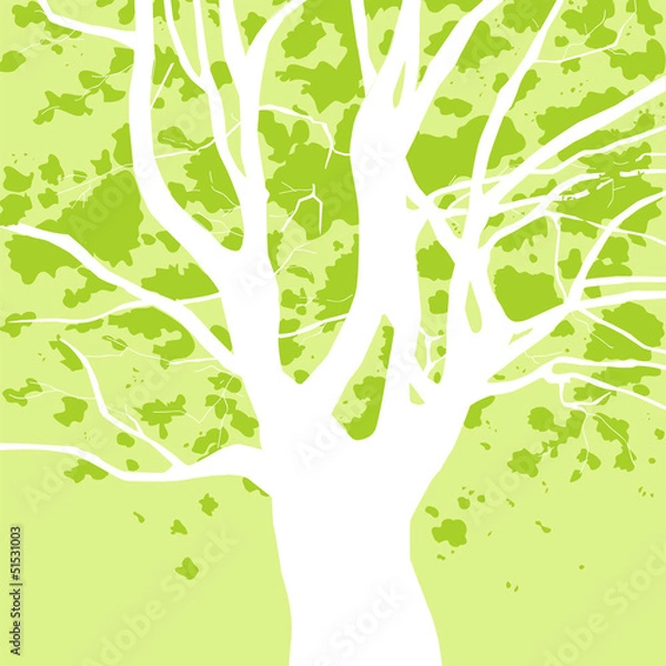 Fototapeta big trees,background