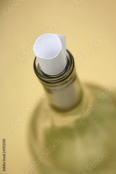 Obraz Message in a bottle
