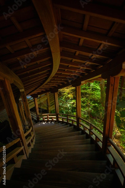 Obraz 永観堂の螺旋階段
