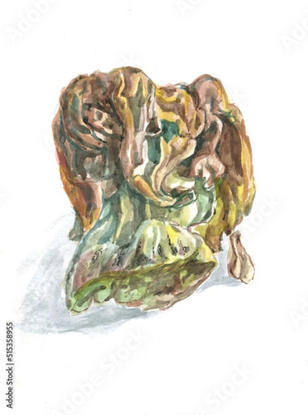 Obraz Gyromitra mushroom