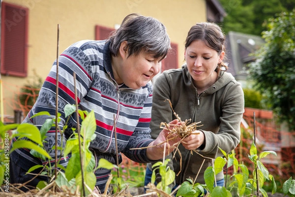Obraz a caregiver explains to a mentally handicapped woman how to mulch with straw