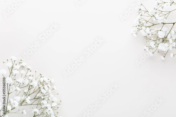 Fototapeta Beautiful flower background of pink gypsophila flowers. Flat lay, top view. Floral pattern.