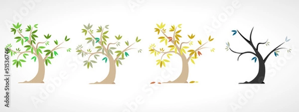 Fototapeta seasons trees