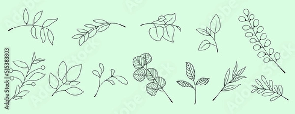 Fototapeta Vector line drawings by hand. Branches, leaves for design.