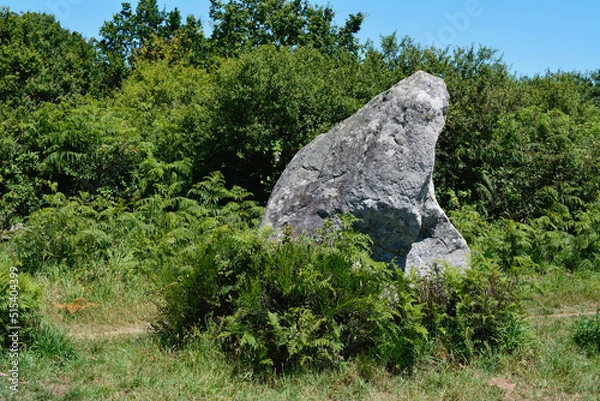 Fototapeta mégalithe seule