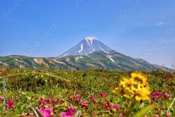 Fototapeta Vplcano in spring