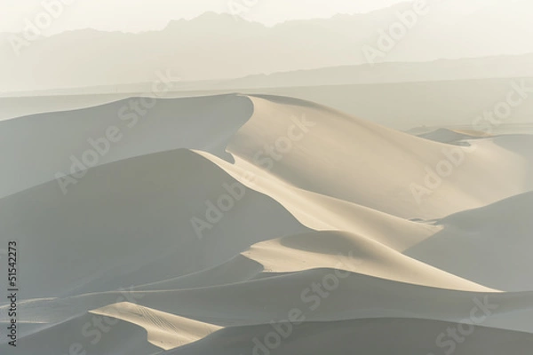 Obraz Sand dunes under the mist