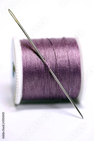 Obraz Needle and Thread