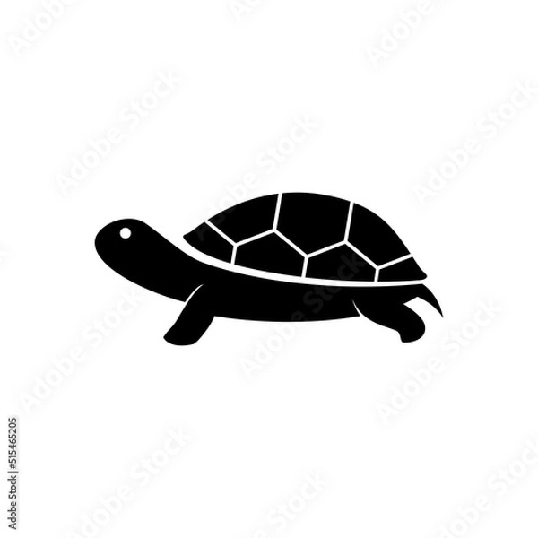 Obraz turtle isolated on white
