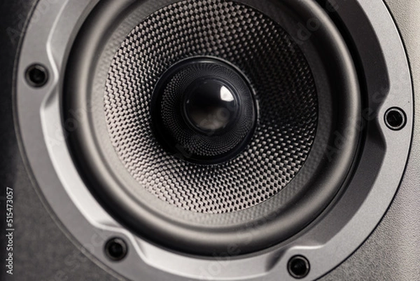 Obraz Hifi audio speaker close up