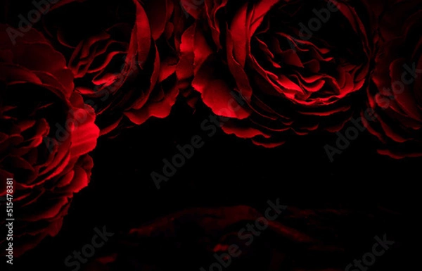Fototapeta Beautiful abstract color black and red flowers on black background, light pink flower frame, pink leaves texture, dark background, valentines day, love theme, red texture