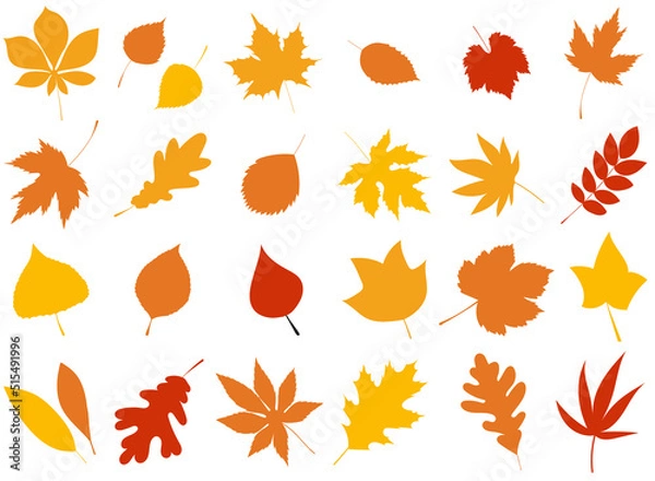 Obraz autumn leaves in flat style, set isolated, vector
