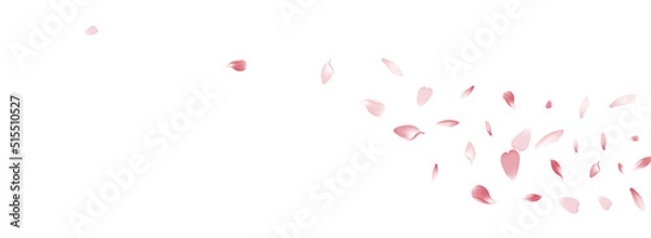 Fototapeta Transparent Sakura Petal Vector White Background.