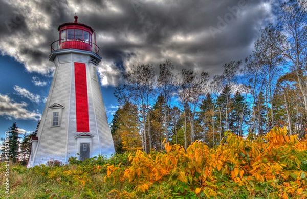 Fototapeta lighthouse with forest