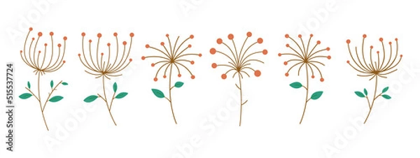 Obraz Set of stylized umbrella plants. Umbrellas of dill seeds or fennel inflorescences with different stem shapes. Simple minimalist branch with green leaves and brown flowers. Vector illustration.