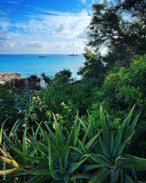 Obraz Formentera Balearen