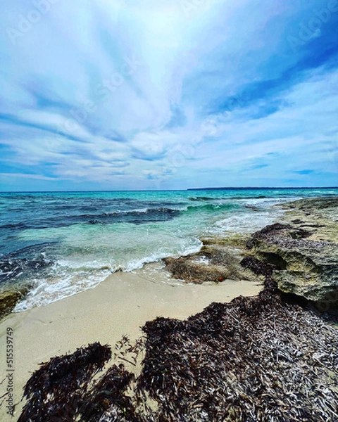 Obraz Formentera Balearen