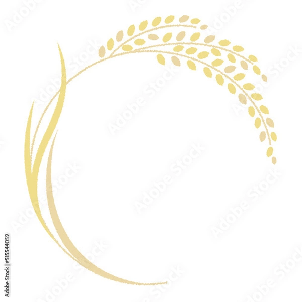 Fototapeta ラフタッチの稲穂