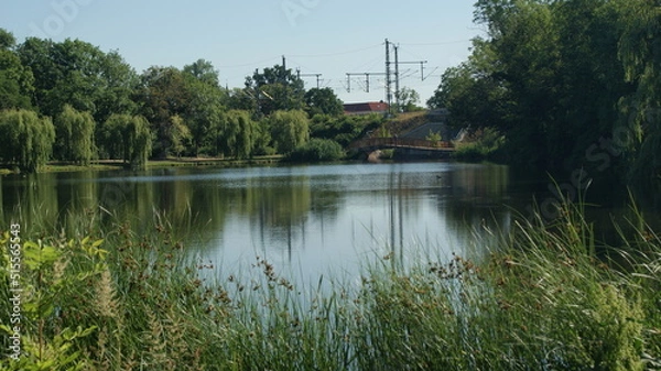 Obraz wasser, see, landschaft, fluss, blau, baum, natur, himmel, sommer