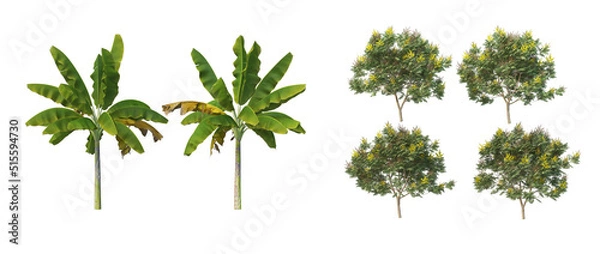 Fototapeta Many trees on a white background