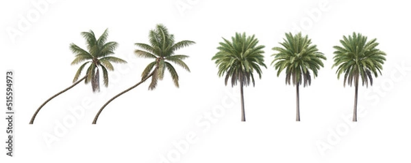 Obraz Many trees on a white background