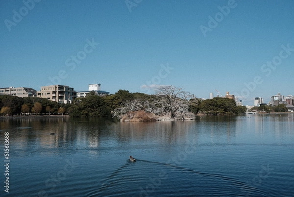 Obraz boats on the river